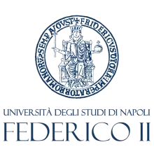 University of Naples "Federico II"
